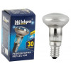 Лампа розжарення ІСКРА ЛОН 30Вт R39 E14 рефлектор (ДЗК 230-30-3)