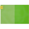 сервірувальний килимок Мой Дом Коврик сервировочный под столовые приборы 30 х 45 см Зелено-салатовый (PM01437)