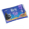 вологий корм Brit Premium Cat pouch Рыбная тарелка в желе 4x100 г (8595602506248)