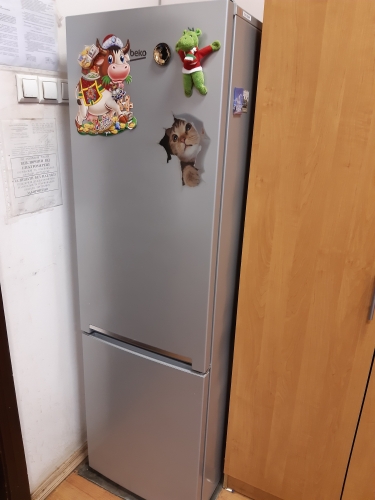 Фото Холодильник з морозильною камерою Beko RCSA300K30SN від користувача Ігор