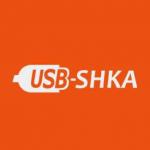 Логотип інтернет-магазина USBshka